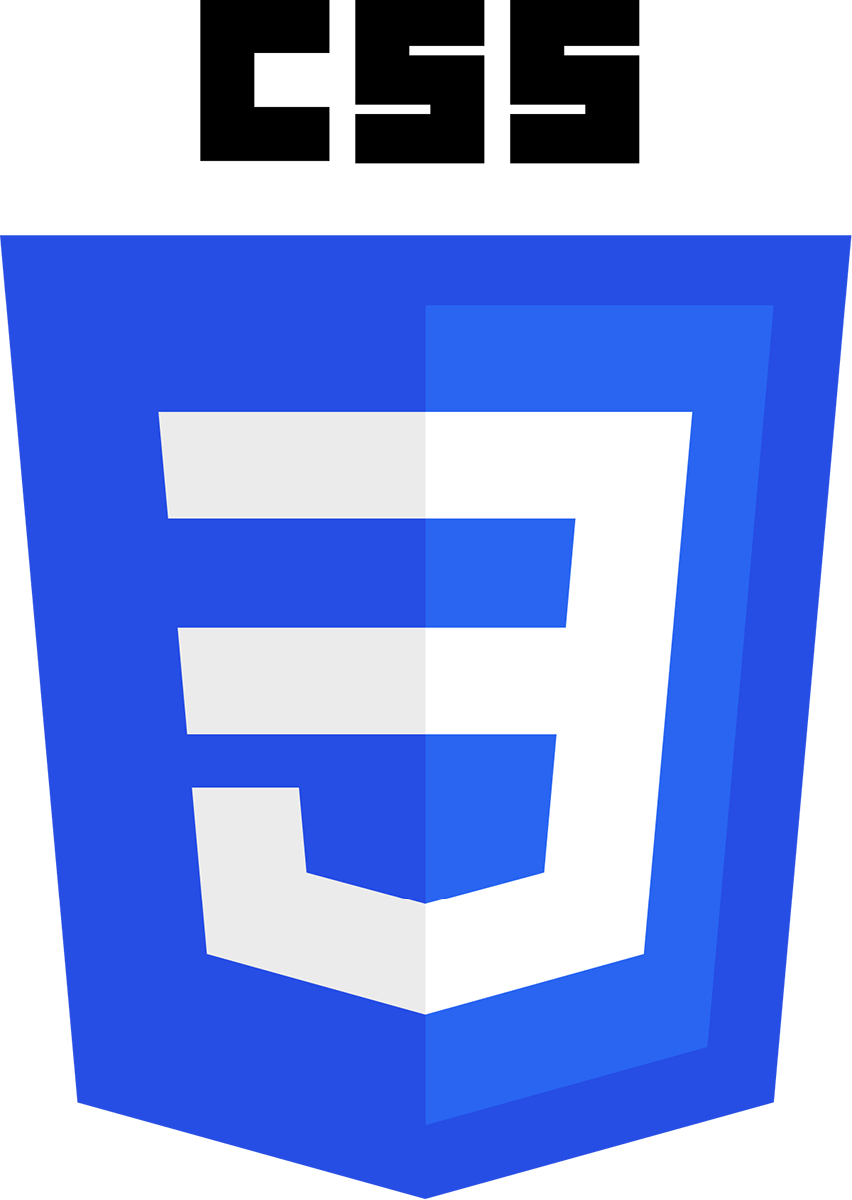 Logo CSS3